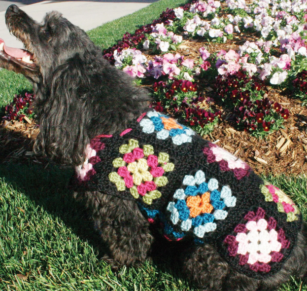 Vibrant Granny Square Dog Sweater Pattern