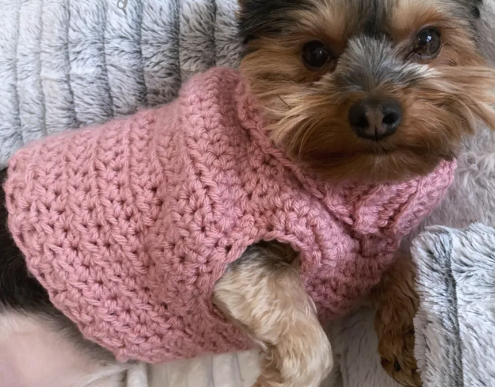 Minnies Turtleneck Dog Sweater Crochet Pattern