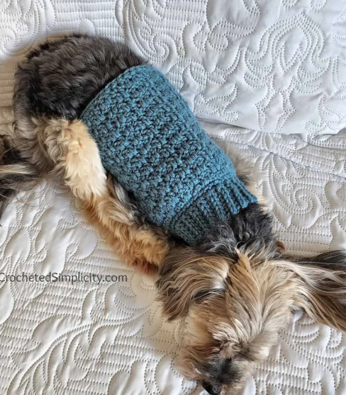 Free Knitted Dog Sweater Pattern