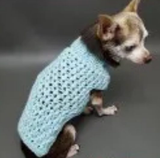 Crochet Dog Sweater Free Pattern Cozy  Stylish