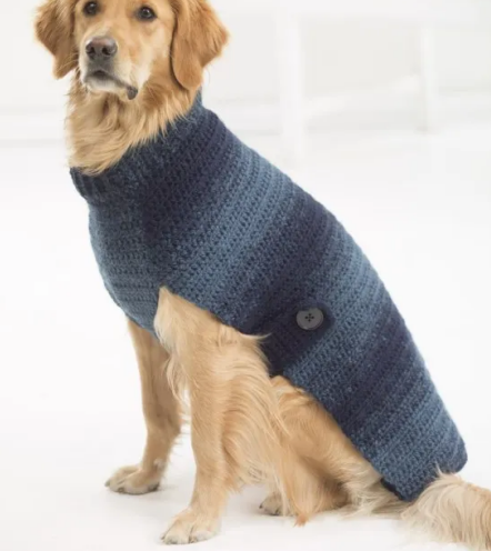 Stylish Crochet Dog Clothes Patterns