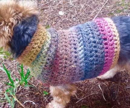 Small Dog Crochet Sweater Pattern