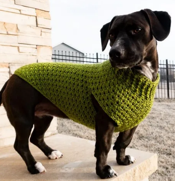 Crochet Dog Sweater Patterns Free Designs