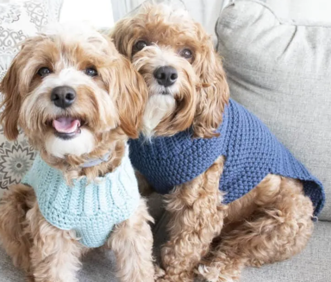 Free Crochet Pattern Cozy Dog Sweaters