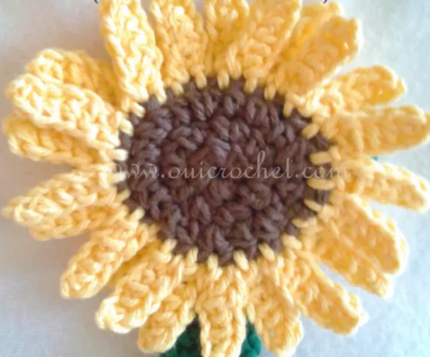 Sunflower Crochet Applique Pattern Crochet Pattern