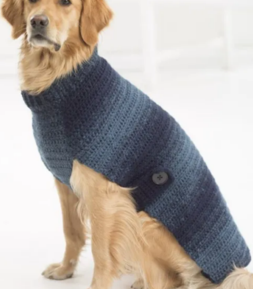 Crochet Patterns for Dog Sweaters