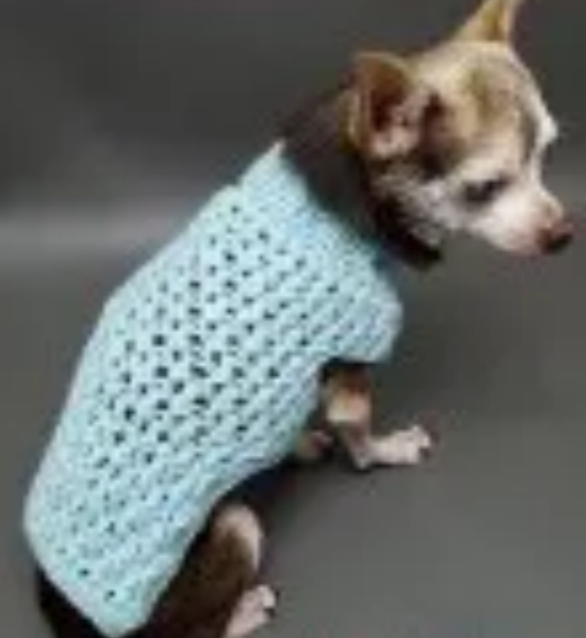 Dog Sweater Crochet Pattern Cozy and Stylish