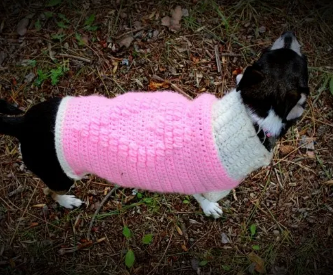 Sweetheart Dog Sweater Crochet Pattern