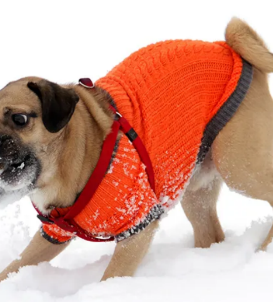 Free Crochet Patterns for Dog Sweaters